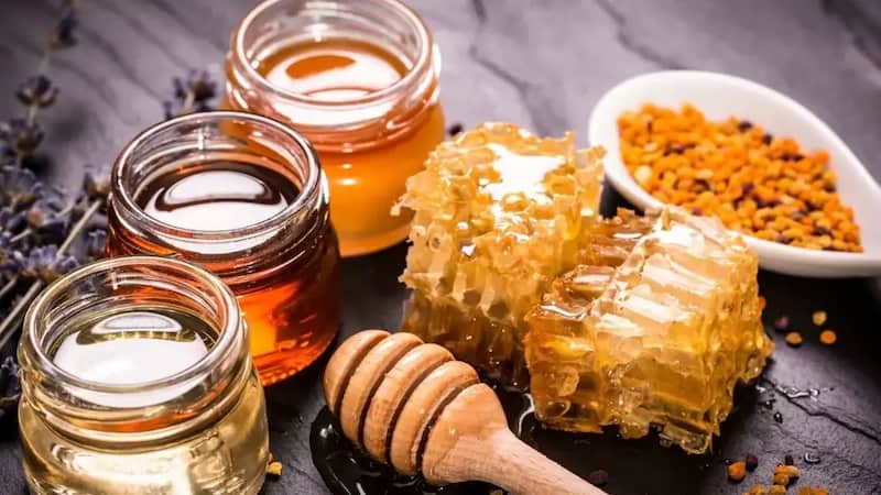 عسل کوهی وحشی خالص برداشت شده از طبیعت بکر